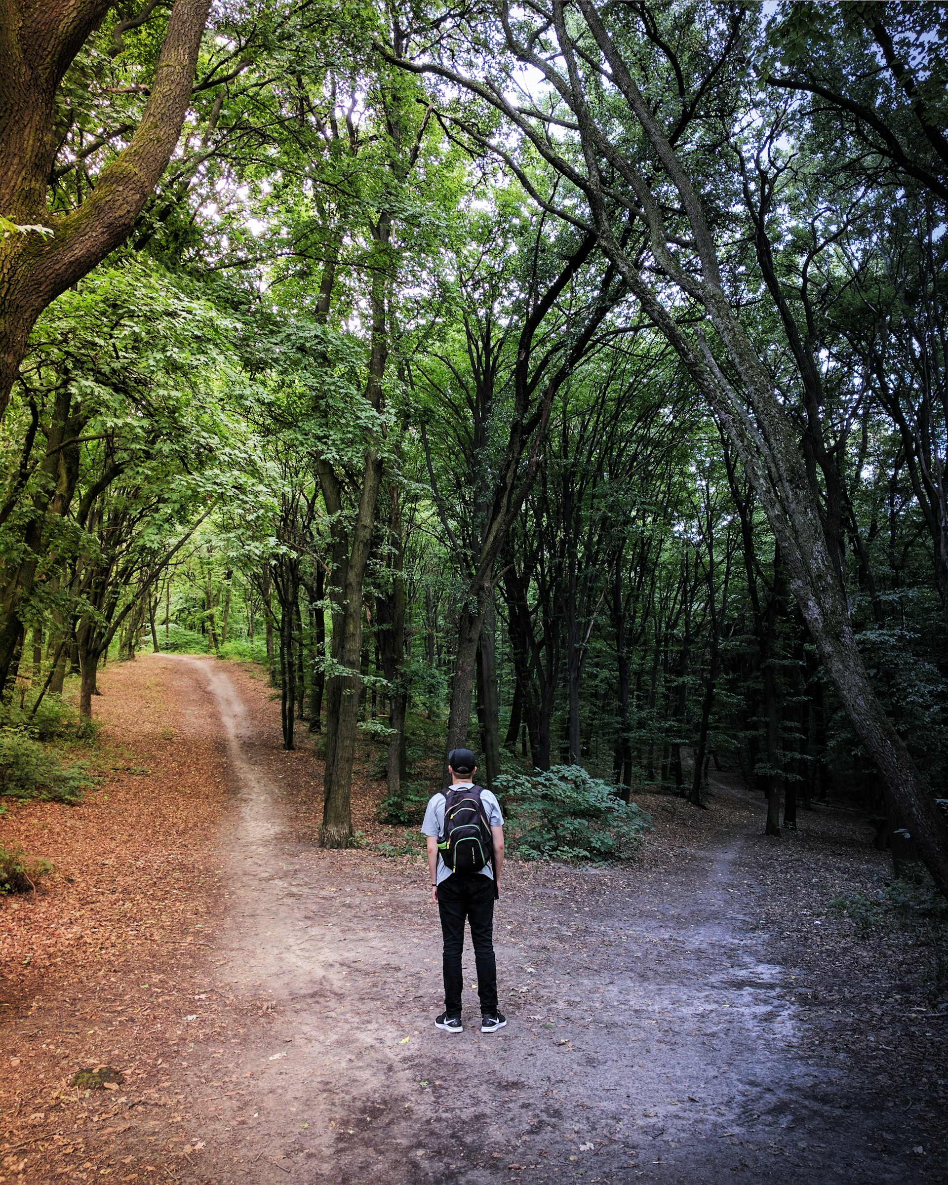 Un ragazzo con lo zaino in spalla che si trova davanti a un bivio in un bosco.